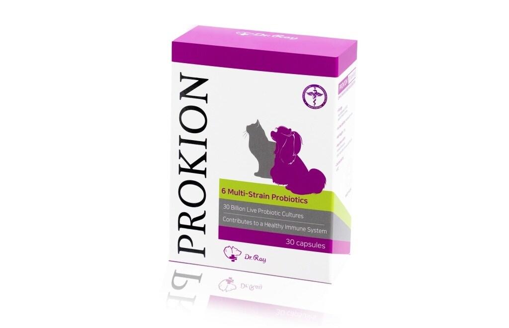 본문 이미지 - 프로키온 제품(한국반려동물영양연구소 제공)