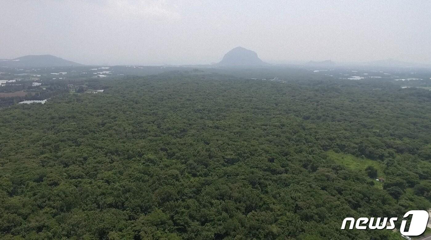 제주곶자왈공유화재단(이사장 김범훈)은 서귀포시 안덕면 서광리 산 3번지 일원 사유 곶자왈을 매입했다고 2일 밝혔다.(제주곶자왈공유화재단 제공)/뉴스1 