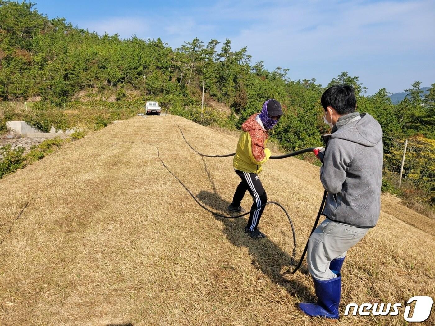 본문 이미지 - 신안군 상하수도사업소 직원들이 부족한 물 공급을 위해 농업용 저수지에 관을 연결해 물을 공급하는 작업을 하고 있다.(신안군 제공)2022.11.21/뉴스1 