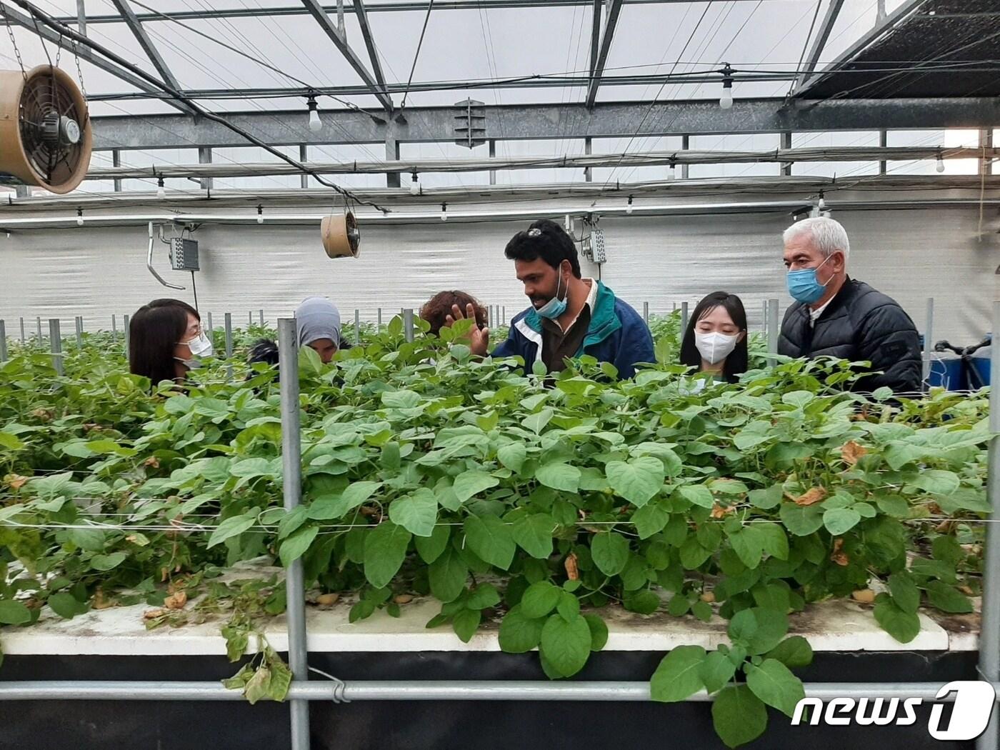 본문 이미지 - 21일 완주군은 최근 농촌진흥청에서 진행한 연수에서 KOPIA 협력국 전문 연구원들을 대상으로 농업기술을 전수했다고 밝혔다.(완주군 제공)2022.11.21/뉴스1