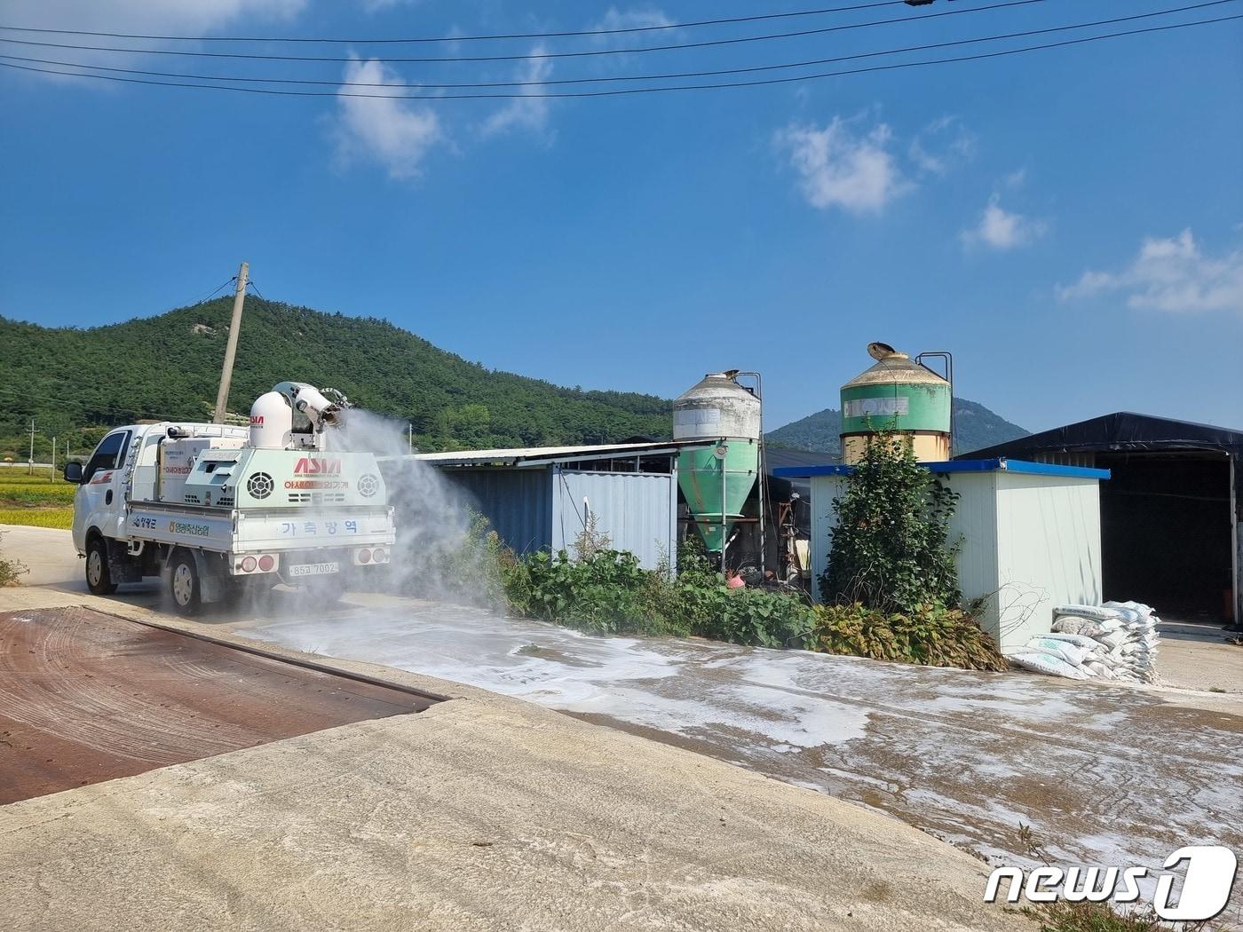본문 이미지 - 최근 전남에서 조류인플루엔자 발생이 이어지자 전남도가 차단 방역을 위해 도로를 소독하고 있는 모습.&#40;전남도 제공&#41; 2022.11.22/뉴스1 ⓒ News1