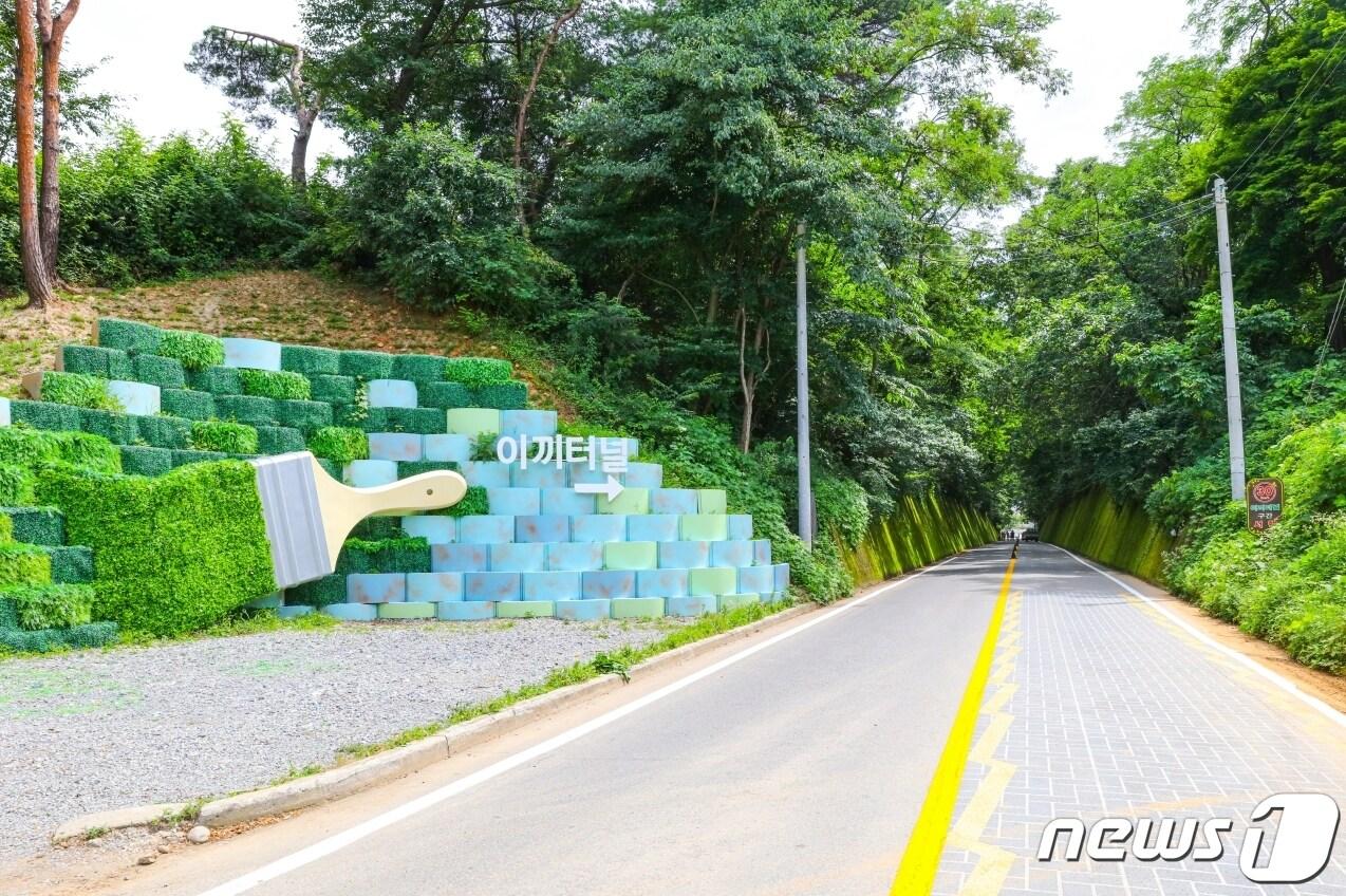 본문 이미지 - 스몰 웨딩 장소로 소문난 단양 이끼터널. 