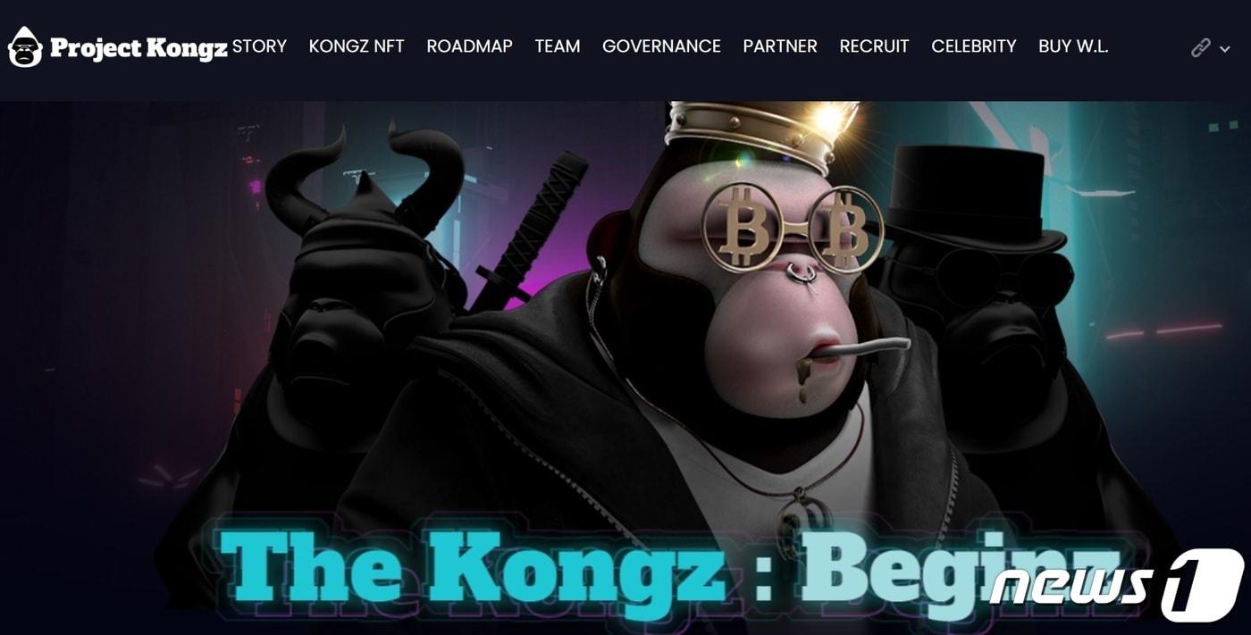 메타콩즈 NFT 프로젝트. (메타콩즈 공식 홈페이지 캡처)