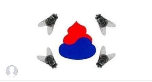 본문 이미지 - 일본 극우 누리꾼이 만든 똥파리 태극기. (서경덕 교수 페이스북 갈무리)