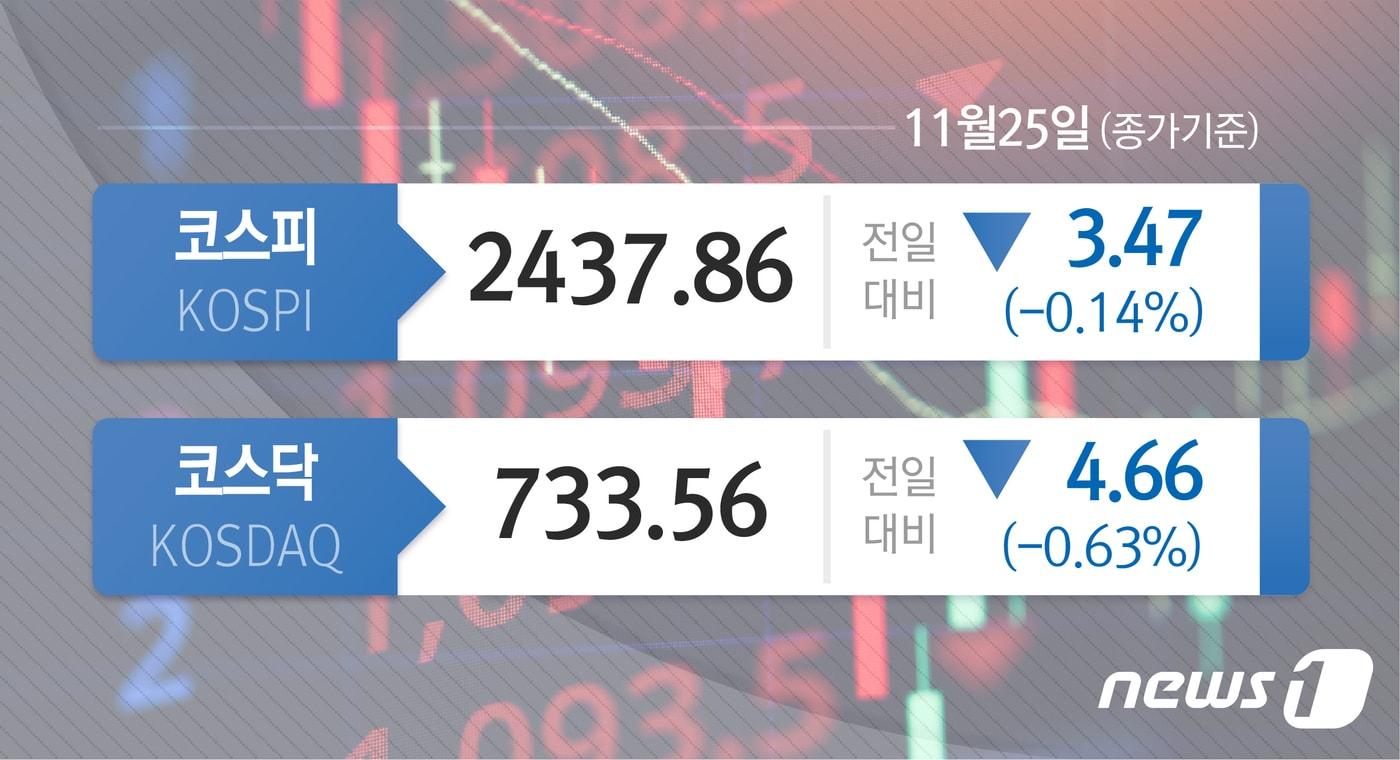 본문 이미지 - ⓒ News1 윤주희 디자이너