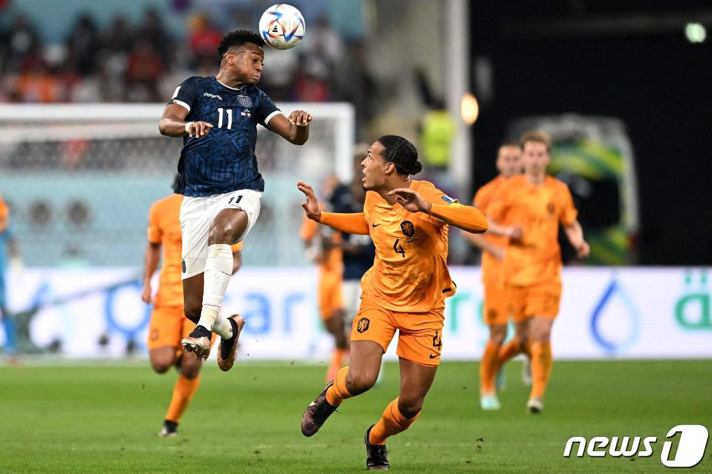본문 이미지 - 네덜란드와 에콰도르는 26일(한국시간) 열린 2022 카타르 월드컵 조별리그 A조 2차전에서 1-1로 비겼다. ⓒ AFP=뉴스1