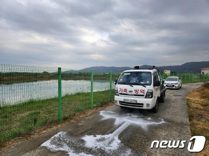 본문 이미지 - 김해시가 조류인플루엔자 확산 방지를 위해 하천 주변서 소독작업을 하고 있다. (김해시 제공)