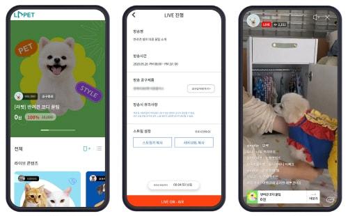 본문 이미지 - 반려동물 콘텐츠 커머스 '라펫' 서비스(라마 제공)