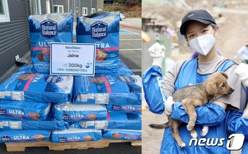 본문 이미지 - 그룹 트와이스 정연의 해외팬이 동물보호소에 사료를 기부했다. 사진 왼쪽은 팬이 기부한 내추럴발란스 사료, 오른쪽은 블루엔젤봉사단 봉사 중인 정연 ⓒ 뉴스1 김진환 기자