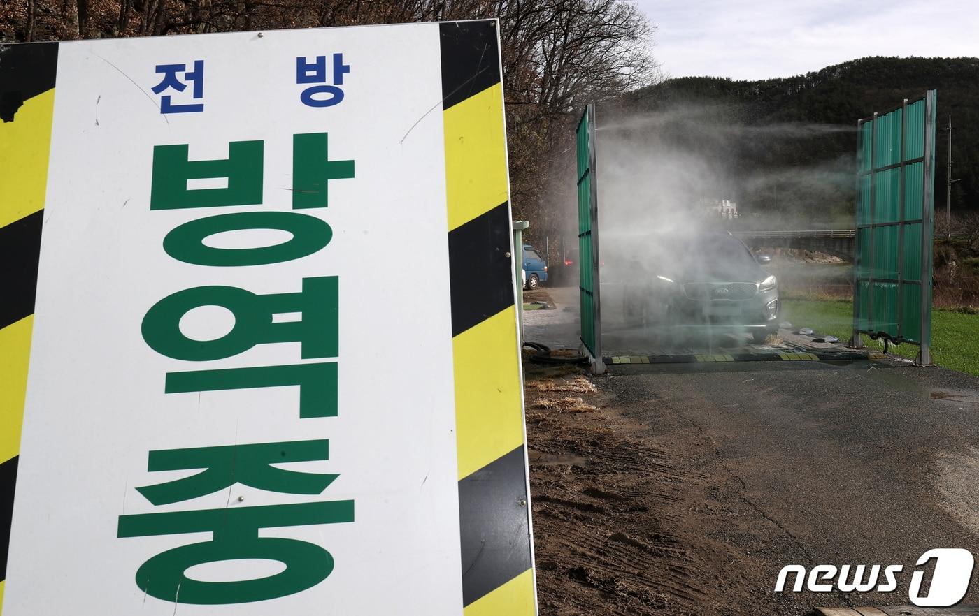 본문 이미지 - 울산 울주군 한 산란계 농장에서 발생한 조류인플루엔자(AI)가 고병원성으로 확인된 30일 농장 인근 도로에서 차량 소독이 진행되고 있다. 2022.11.30 ⓒ 뉴스1 윤일지 기자