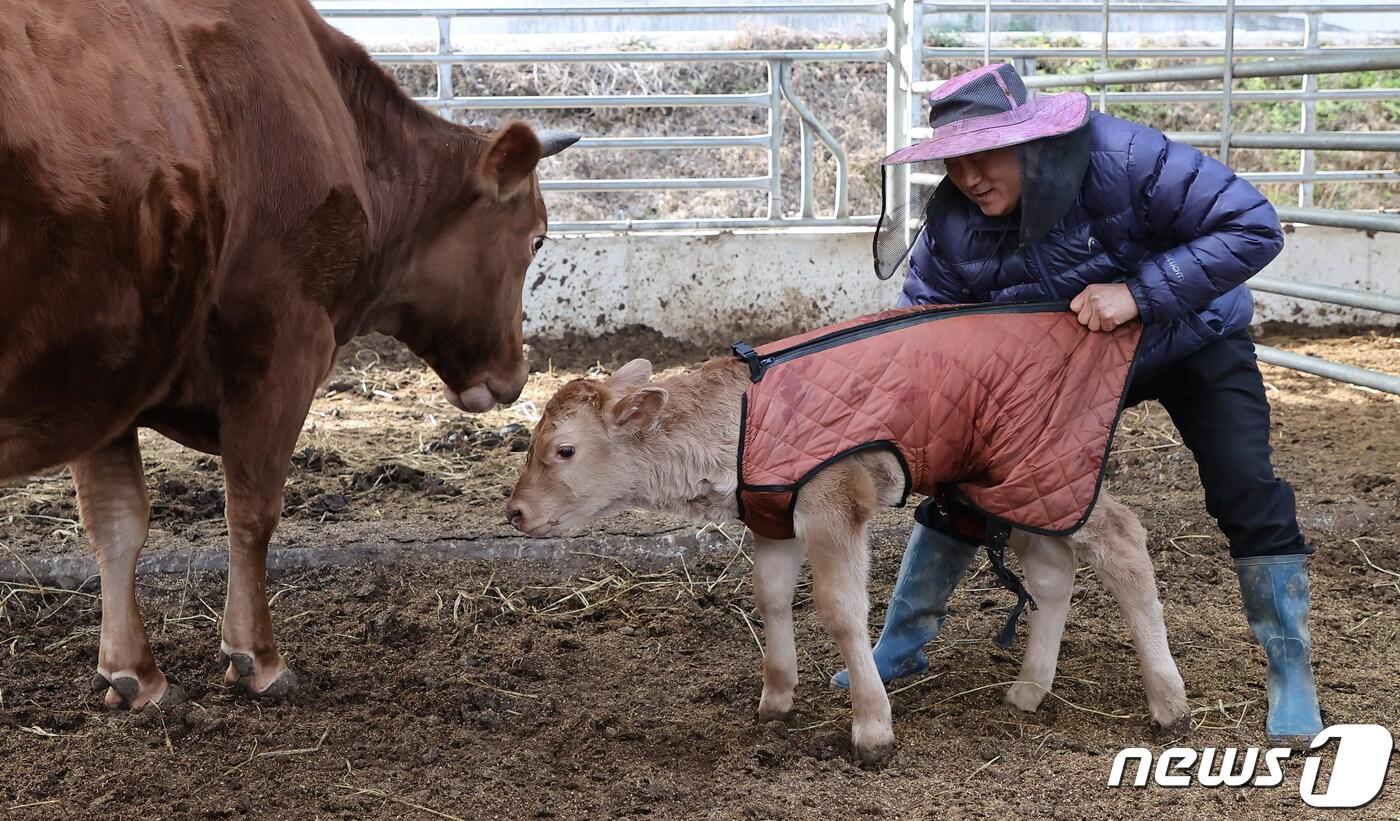 본문 이미지 - 자료사진 (함양군 김용만 제공. 재판매 및 DB 금지)/뉴스1