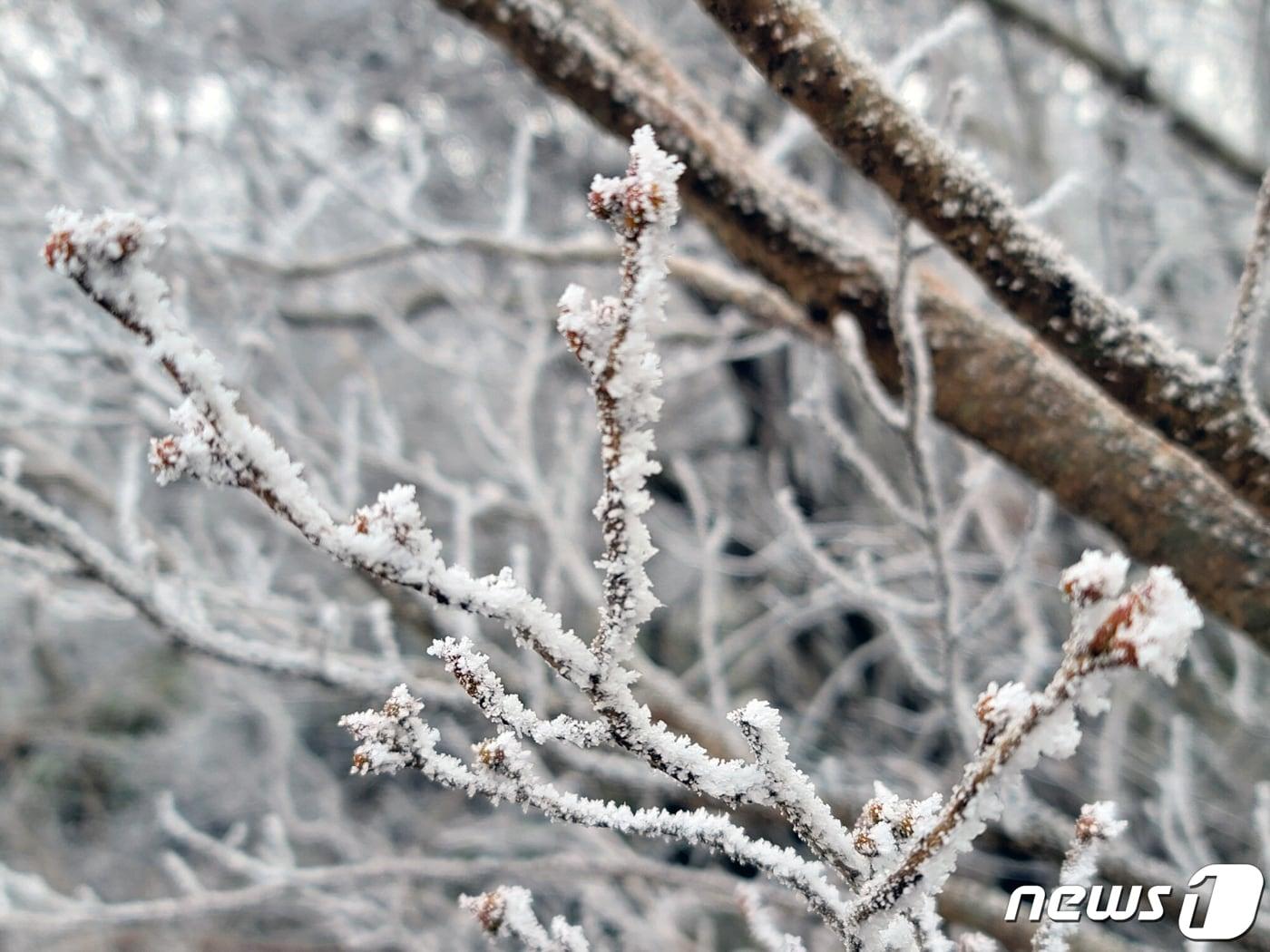 본문 이미지 - (사진은 기사 내용과 무관함) / 뉴스1 ⓒ News1 이수민 기자