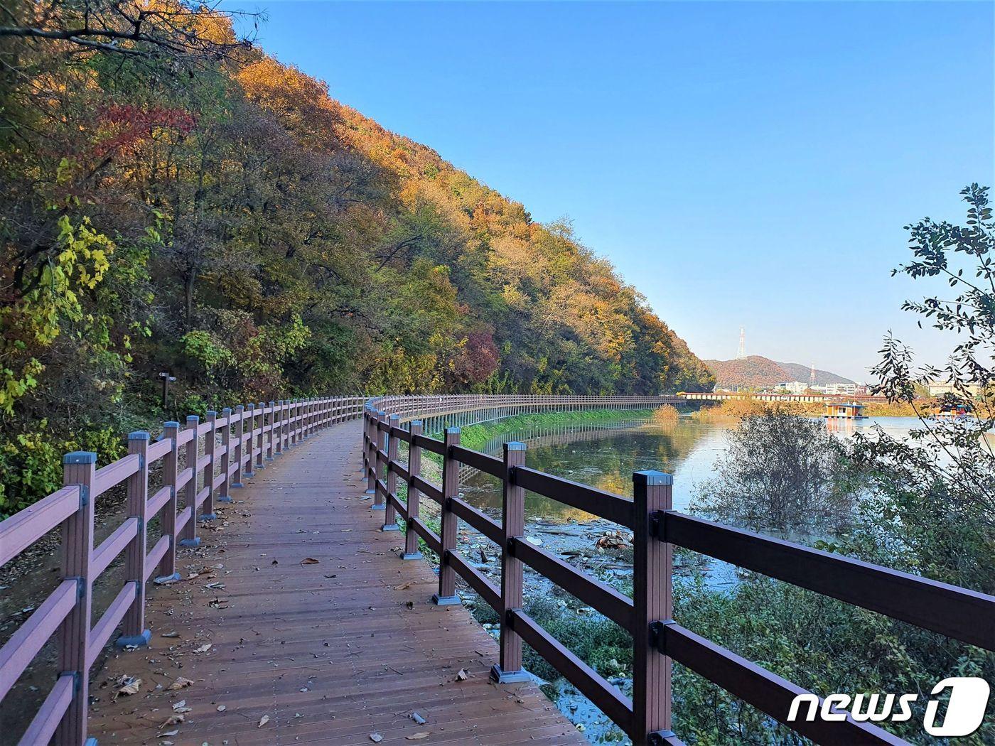 본문 이미지 - 용인특례시가 이동저수지 송전레스피아~송전낚시터 2km 구간에 조성한 둘레길 모습.(용인시 제공)