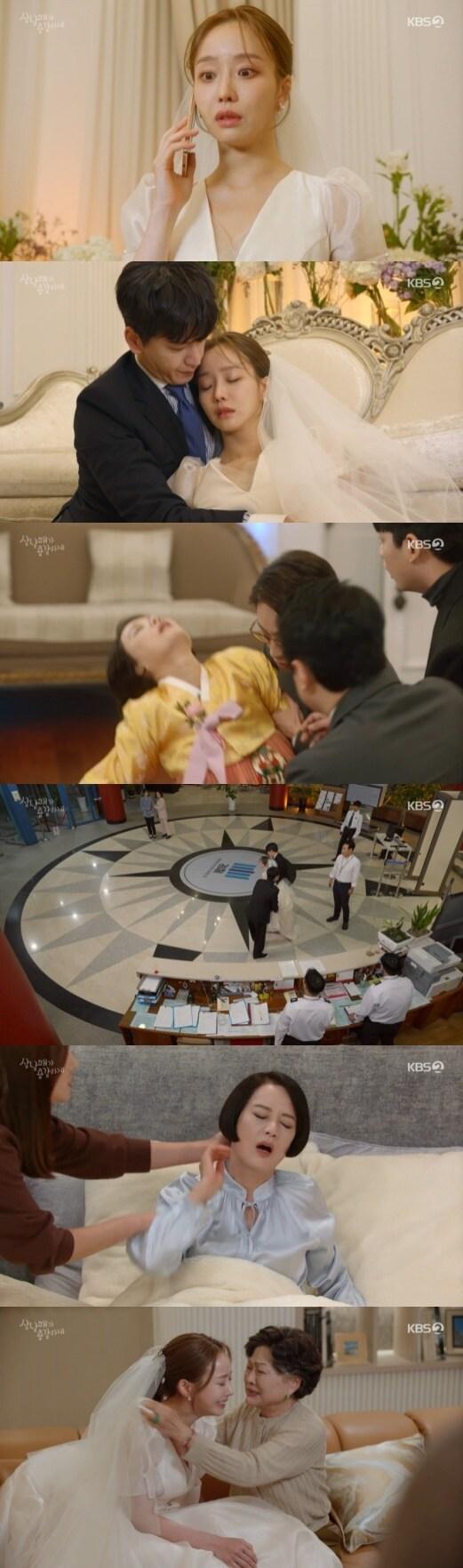 본문 이미지 - KBS 2TV '삼남매가 용감하게' 방송 화면 캡처