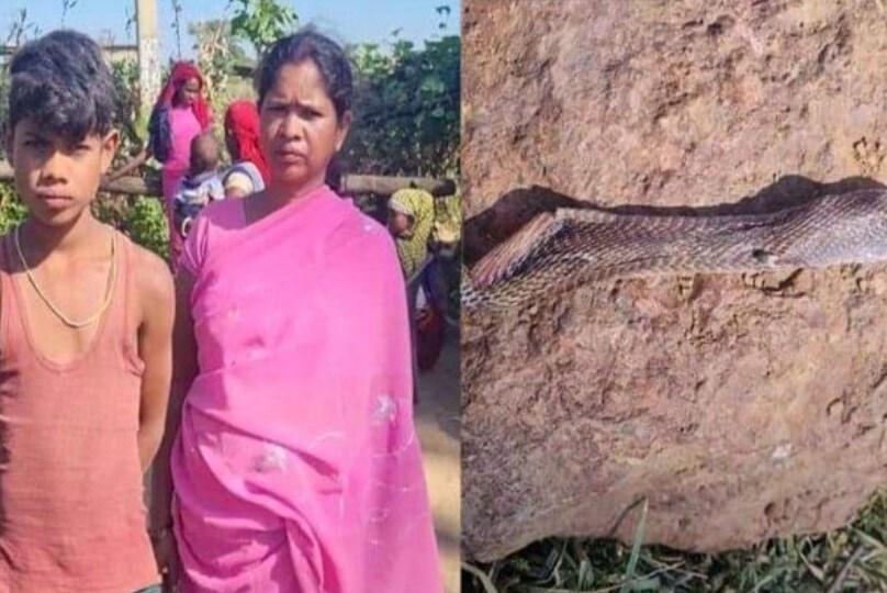 본문 이미지 - 자신에게 달려든 코브라와 싸워 이긴 인도 소년 디팍(왼쪽). (인도 매체 minnambalam 갈무리)