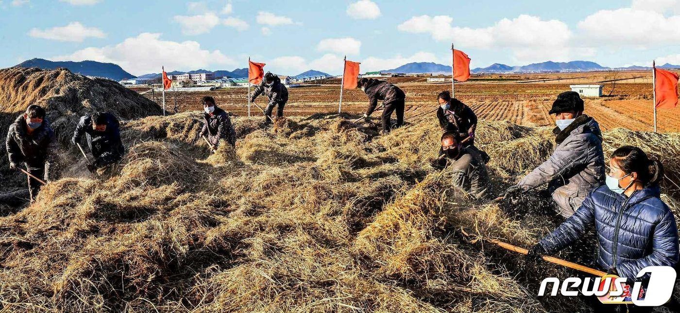 본문 이미지 - (평양 노동신문=뉴스1) = 내년도 농사를 준비하는 평양 강남군. [국내에서만 사용가능. 재배포 금지. DB 금지. For Use Only in the Republic of Korea. Redistribution Prohibited] rodongphoto@news1.kr