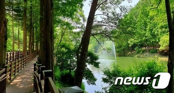 본문 이미지 - 청주 미동산수목원. / 뉴스1 