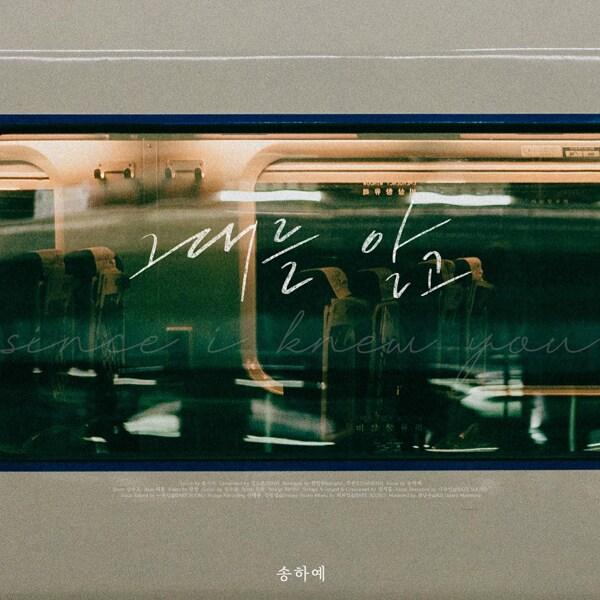 본문 이미지 - 송하예(디 스튜디오 제공)