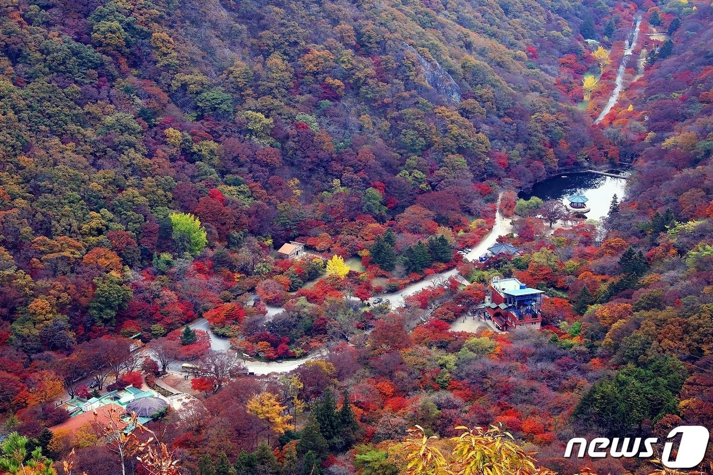 본문 이미지 - 전북 정읍시의 내장산국립공원이 문화체육관광부와 한국관광공사가 공동 주관하는 2023~2024년 대한민국을 대표하는 ‘한국 관광 100선’에 선정됐다.하늘에서 본 내장산과 내장사.(정읍시 제공)2022.12.13/뉴스1 