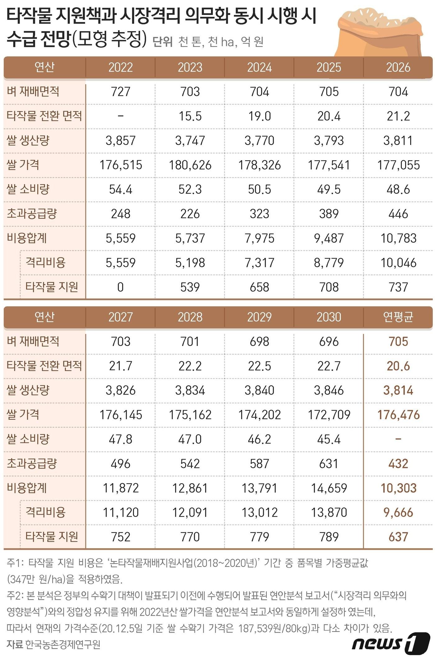 본문 이미지 - ⓒ News1 최수아 디자이너