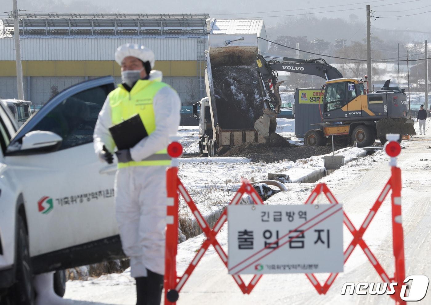본문 이미지 - 14일 경기 안성시 일죽면의 한 산란계 농장에서 AI H5형 항원이 검출돼 살처분 준비작업을 하고 있다. 2022.12.14/뉴스1 ⓒ News1 김영운 기자