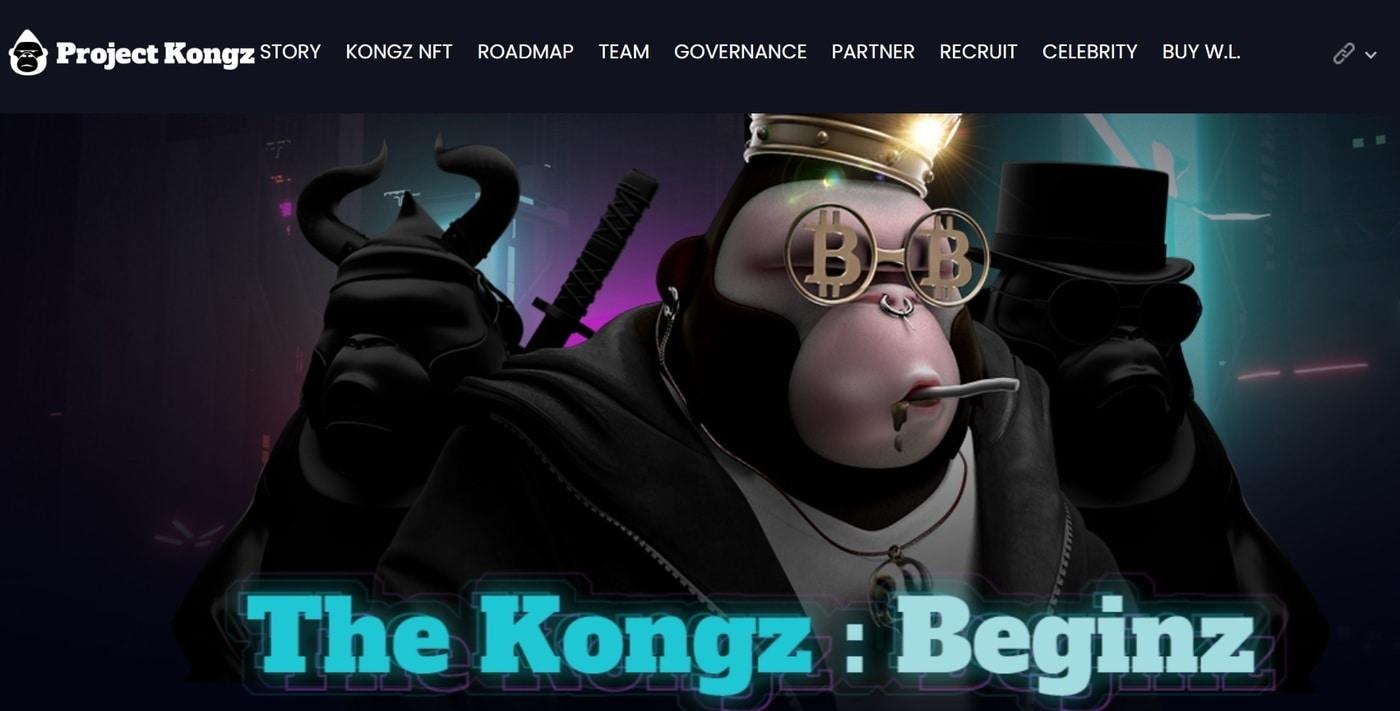 국내 대체 불가능 토큰(NFT) 프로젝트 메타콩즈. (메타콩즈 공식 홈페이지 갈무리) 2022.12.16 /뉴스1