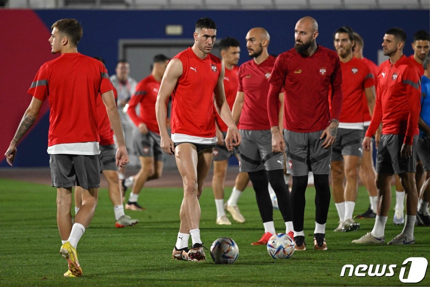 훈련 중인 세르비아 선수단.ⓒ AFP=뉴스1