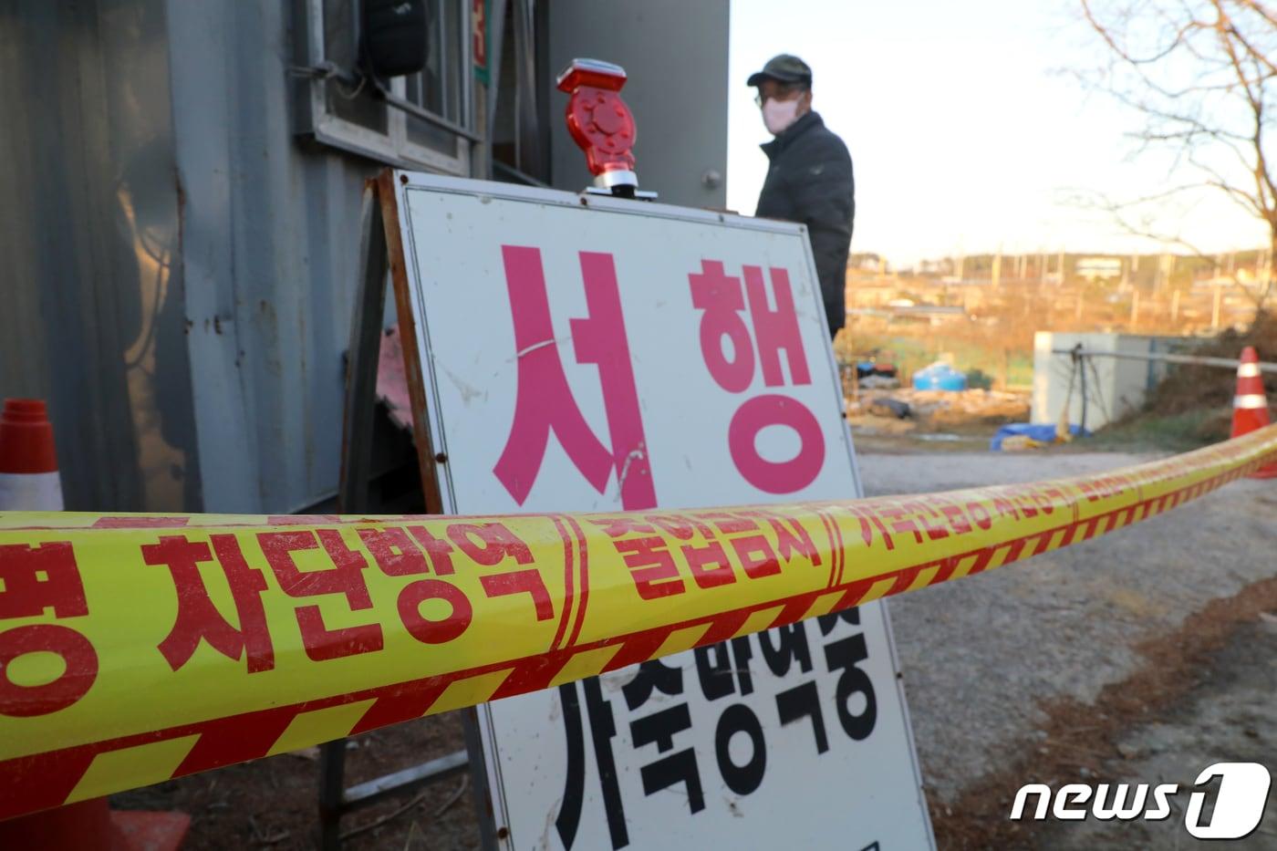 본문 이미지 - 부산 기장군의 한 농장에서 조류인플루엔자(H5형) 항원이 검출된 20일 방역요원들이 방역소독을 하고 있다. 2022.12.20/뉴스1 ⓒ News1 김영훈 기자