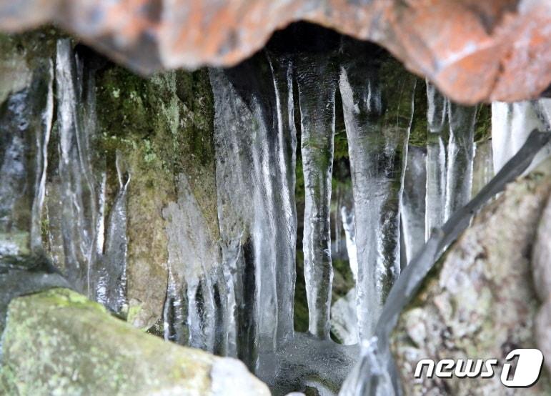 본문 이미지 - 밀양 얼음골. &#40;밀양시 제공&#41; @news1
