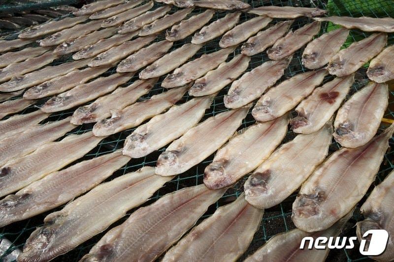 본문 이미지 - 전북 군산시 '고향사랑기부제' 답례품으로 선정된 박대.(군산시제공) 2022.12.27/뉴스1