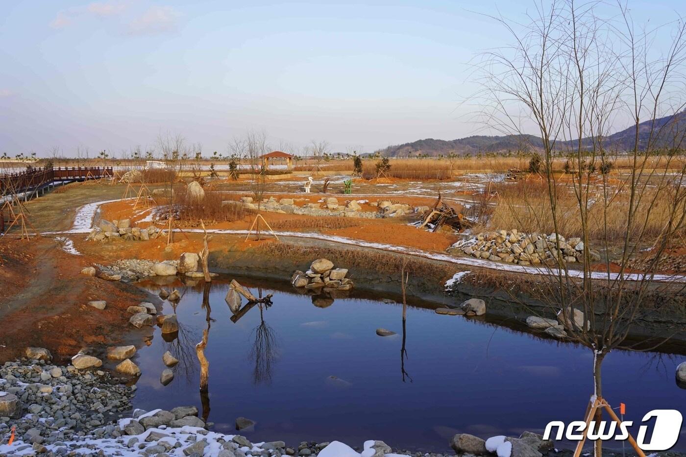 국립공원공단 새만금환경생태단지관리단(단장 이지형)은 단지 내 생태탐방시설을 보완 조성하고 내년 1월부터 일반 탐방객에게 개방한다. 갈대숲 내부 전경(관리단 제공)2022.12.29/뉴스1