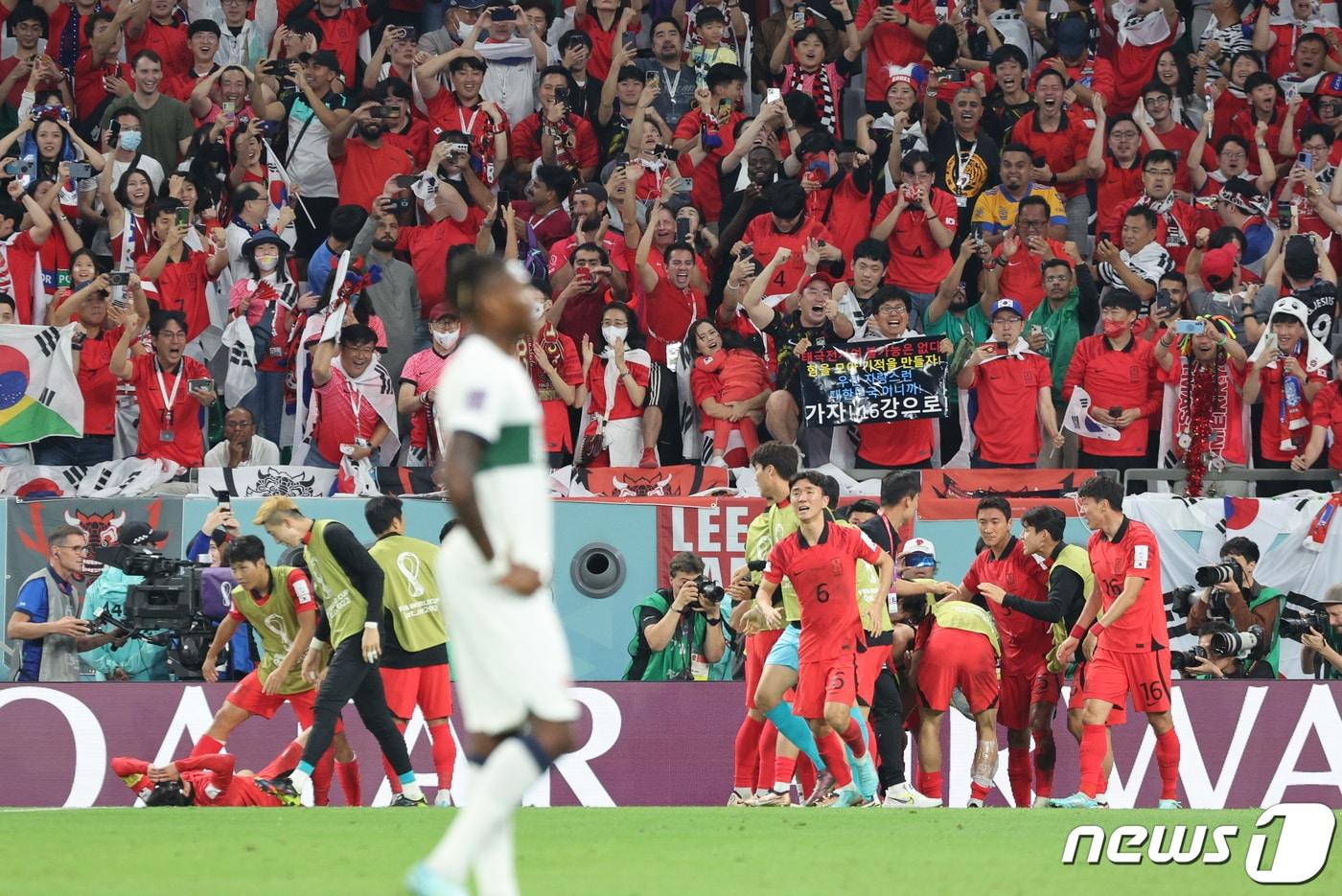 2일 오후(현지시간) 카타르 알라이얀 에듀케이션 시티 스타디움에서 열린 2022 카타르 월드컵 조별리그 H조 3차전 대한민국과 포르투갈의 경기에서 대한민국 황희찬이 역전골을 넣은 후 환호하고 있다. 2022.12.3/뉴스1 ⓒ News1 이동해 기자