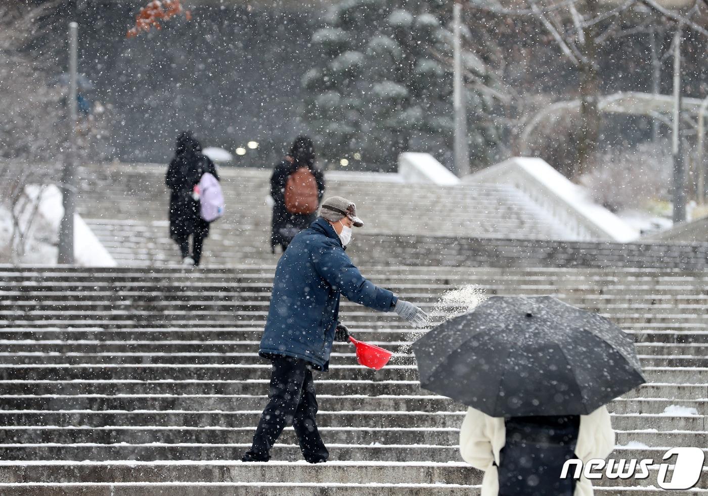 본문 이미지 - 서울 관악구 신림동 서울대학교 캠퍼스의 모습. /뉴스1 ⓒ News1 김진환 기자