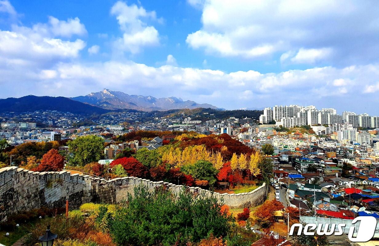본문 이미지 - 한양도성 낙산의 가을 풍경. 가까이 낙산의 단풍숲과 한양도성 옆으로 주택들이 빼곡하고, 오른쪽에 달동네를 재개발한 아파트들이 하얗다. 가운데는 백악산 산줄기, 그 너머는 북한산.