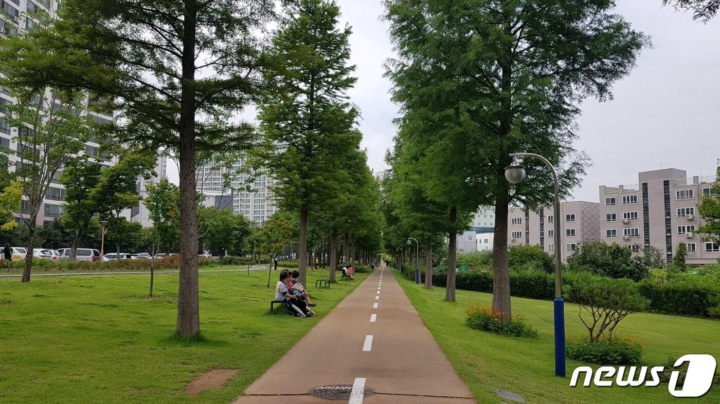 본문 이미지 - 포항철길숲 전경 (우현동 메타세콰이어길)