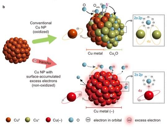 본문 이미지 - 일반 구리 나노입자의 산화(위)와 표면에 축적된 전자를 가진 구리 나노입자의 비산화(아래) 비교 모식도. (IBS 제공) ⓒ뉴스1