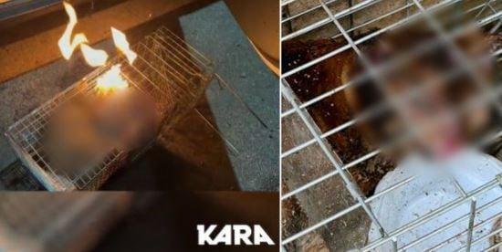 본문 이미지 - (인스타그램 갈무리) ⓒ 뉴스1