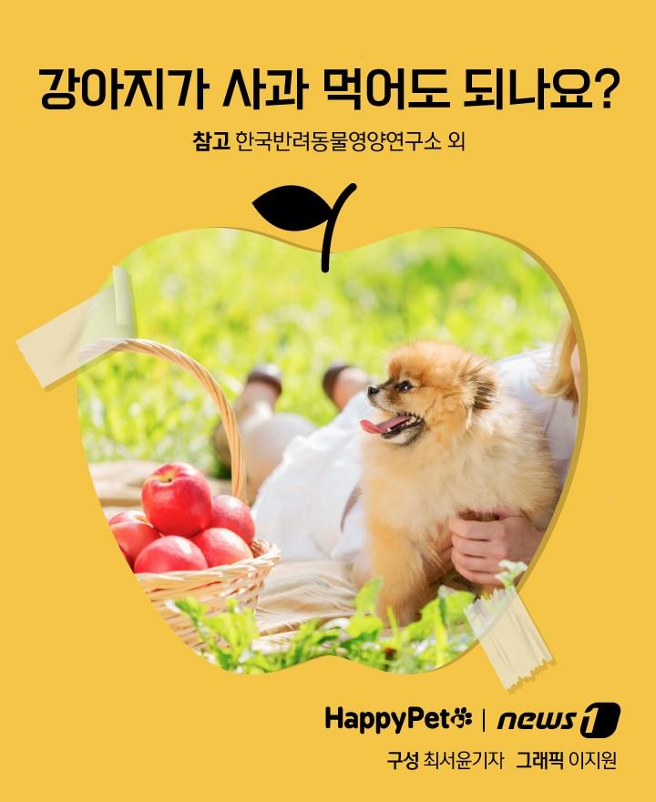 본문 이미지 - 펫카드 사과 ⓒ 뉴스1