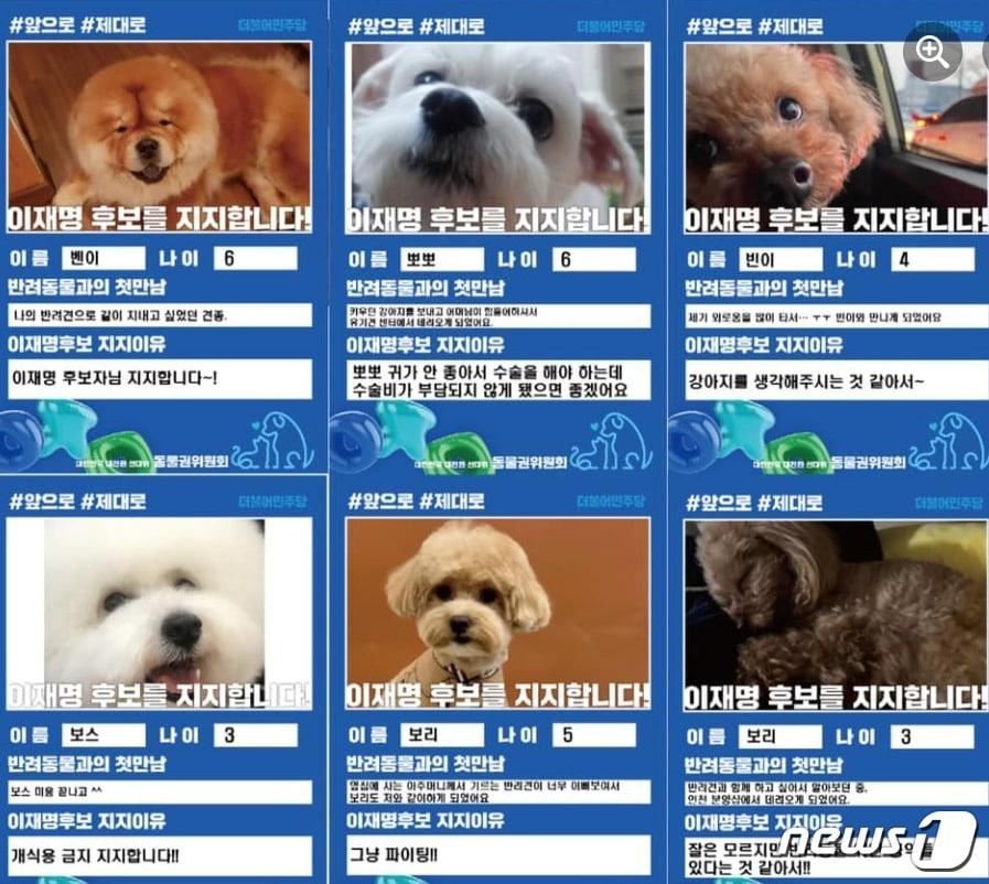 본문 이미지 - 고민정 더불어민주당 의원 SNS 갈무리 ⓒ 뉴스1