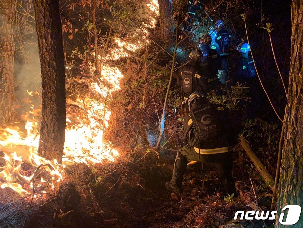 본문 이미지 - 15일 오전 발생한 경북 영덕 산불 진화 모습. (산림청 제공) ⓒ 뉴스1