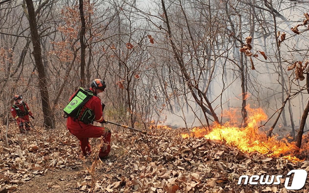 본문 이미지 - 산불 진화에 나선 산림청 산불재난특수진화대원들. (뉴스1 자료, 재판매 및 DB금지) 2026.2.23/뉴스1