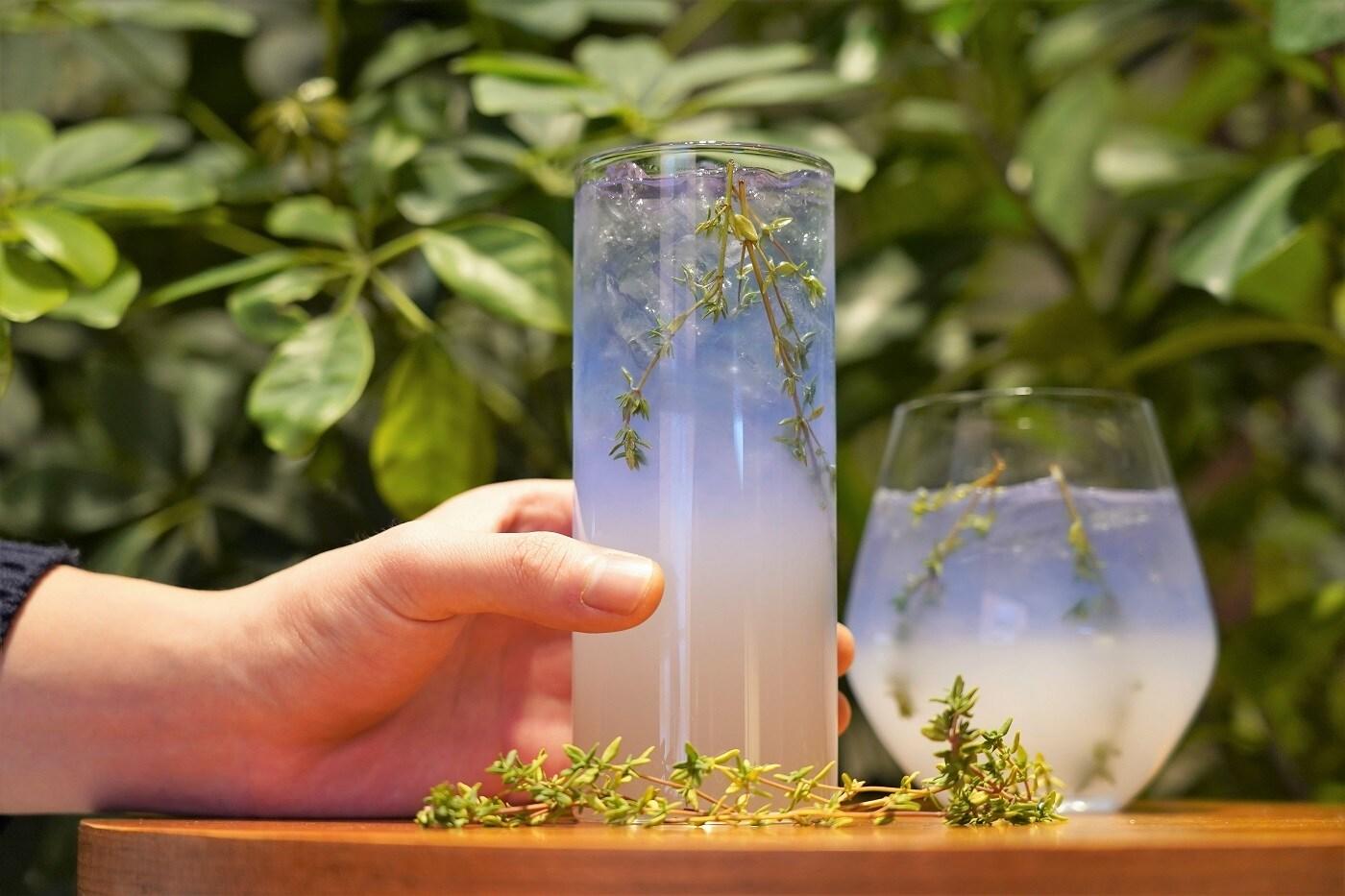 '스프링 가든 자스민 드링크' (스타벅스 제공) ⓒ 뉴스1