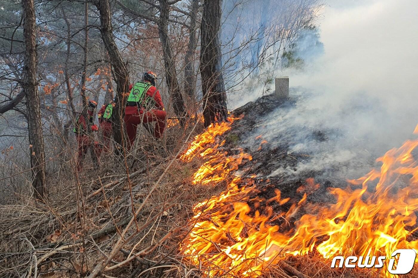 본문 이미지 - 산림청 산불특수진화대원들이 17일 경북 영덕군 영덕읍 화수리 산불현장에서 진화작업을 하고 있다. 산림청은 지난 16일 낮 12시45분부터 산불 3단계를 발령했다. 2022.2.17/뉴스1 ⓒ News1 최창호 기자