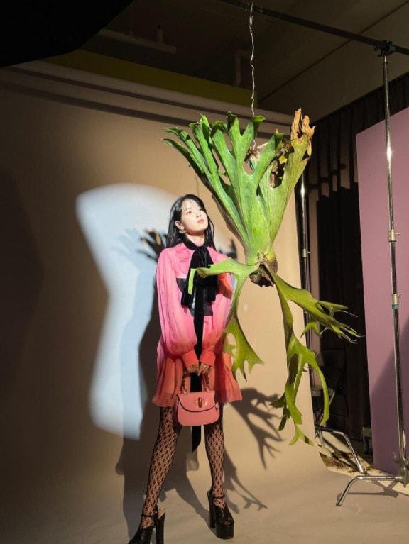 본문 이미지 - 아이유 SNS 갈무리 ⓒ 뉴스1