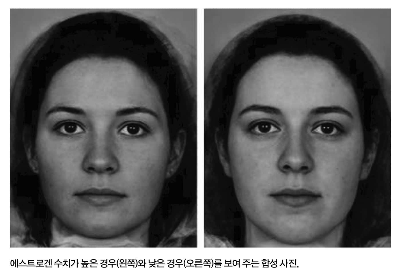 표지 제공 ⓒ ㈜사이언스북스 89페이지 사진 저작권 표기 : reprinted from Jones et al., “Menstrual Cycle, Pregnancy and Oral Contraceptive Use Alter Attraction to Apparent Health in Faces,” 2005, Proceedings of the Royal Society of London B: Biological Sciences, vol. 272, issue 1561, 347-54, by permission of the Royal Society