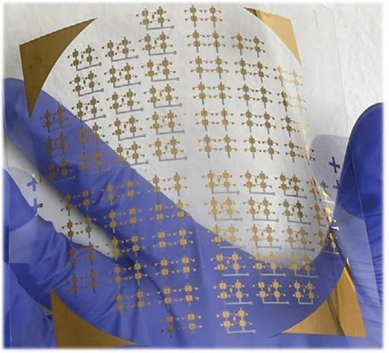 본문 이미지 - 유연한 유기 전계효과 트랜지스터 어레이(한국교통대 안태규 부교수 제공) ⓒ 뉴스1