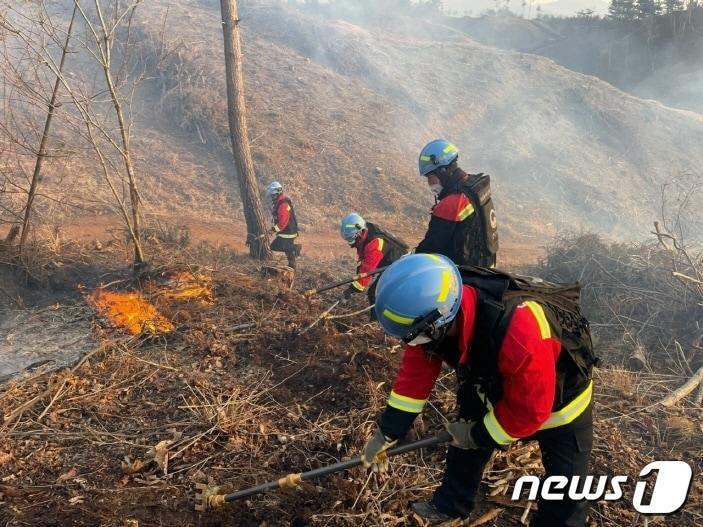 본문 이미지 - 충북소방본부는 건조한 봄철을 맞아 5월까지 봄철 화재예방대책을 추진한다.(사진은 기사 내용과 무관함) / 뉴스1 ⓒ News1