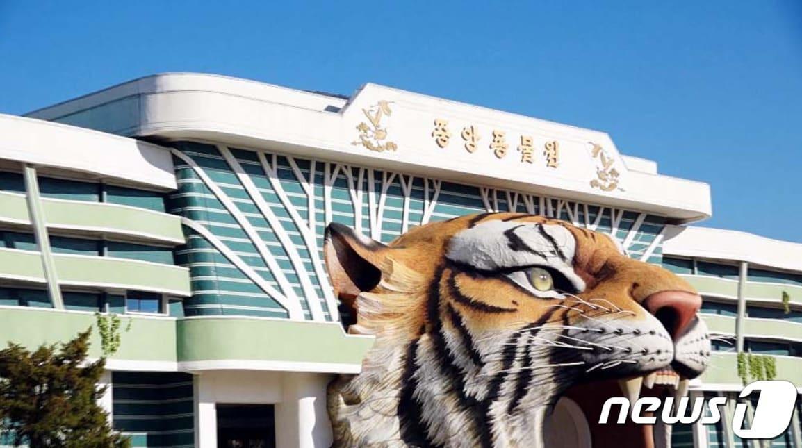 본문 이미지 - 북한의 유일한 동물원 '중앙동물원'(조선의 소리 갈무리) ⓒ 뉴스1