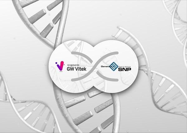 본문 이미지 - 지더블유바이텍ⓒ 뉴스1