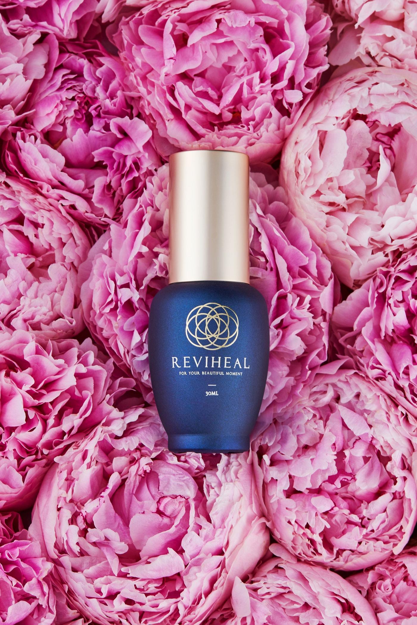 본문 이미지 - ⓒ 뉴스1